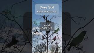 Does God Care About Us? #shorts