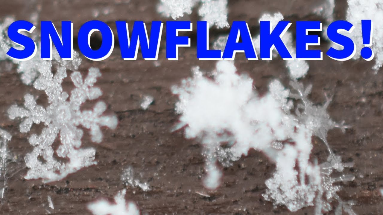 Snowflakes! - YouTube