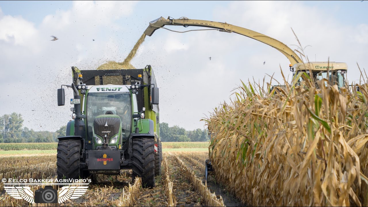 Corn Silage 2022