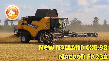 Harvest 2025 | New Holland CX8.90 & MacDon FD230 header