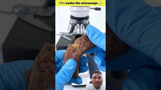 Snickers under the microscope. #best #facts #shortvideo