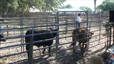 Curt Pate (part 1 of 4)