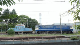 もう何とかして撮りたく元JR貨物EF65 535✧近江鉄道ED31 3、1923大正12年製の国産機✧東芝府中事業所・北府中不法侵入にならんようにだが執念(笑)
