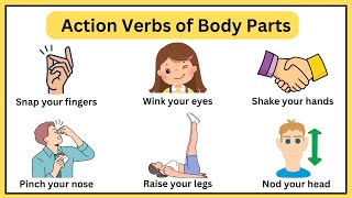 Learn action verbs of body parts in English