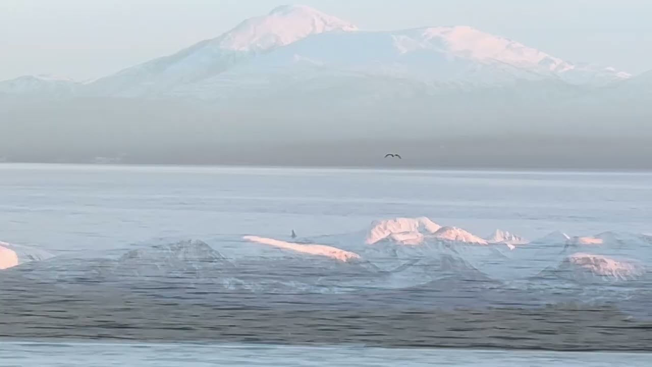 Daytrip to Molde with the ferry 