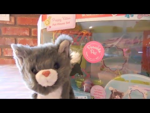 unboxing-american-girl-preppy-kitten-himalayan-cat