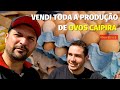 A forma mais FÁCIL de VENDER ovos CAIPIRA. Vendemos tudo em 4 horas.