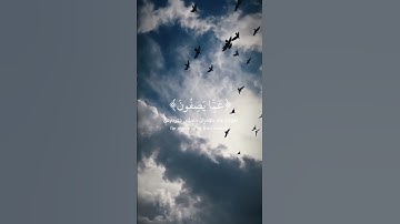 معرف اسم القارئ  🥲" آية كريمة بصوت جميل 💗 "