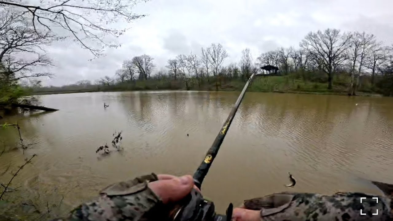 Bass Fishing Local Flooded Pond
