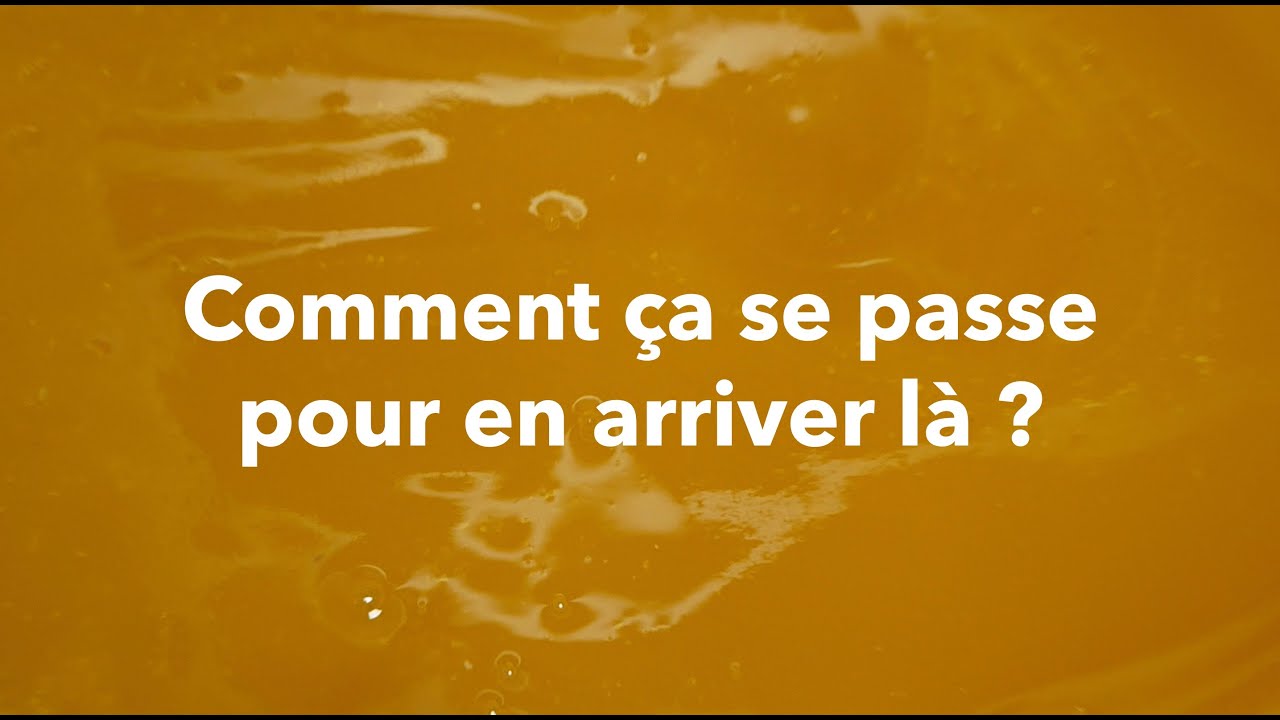 Extraction et maturation du miel - Special miellerie | Beopolis