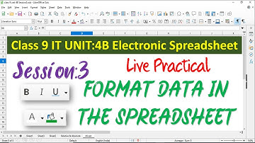 Format Data in the spreadsheet Live Practical | Unit-4B | Electronic Spreadsheet | class 9 I.T.