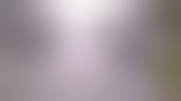 Severe North American Car Crashes 11