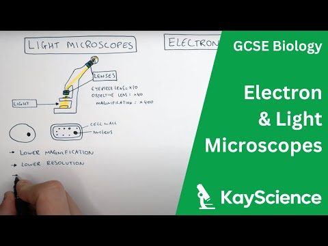 Video: Ce structură ar fi cel mai probabil vizibilă cu un microscop electronic, dar nu cu un microscop cu lumină?