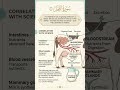 How Milk Is Made: A Stunining Biological Correlation 🥛 #shorts