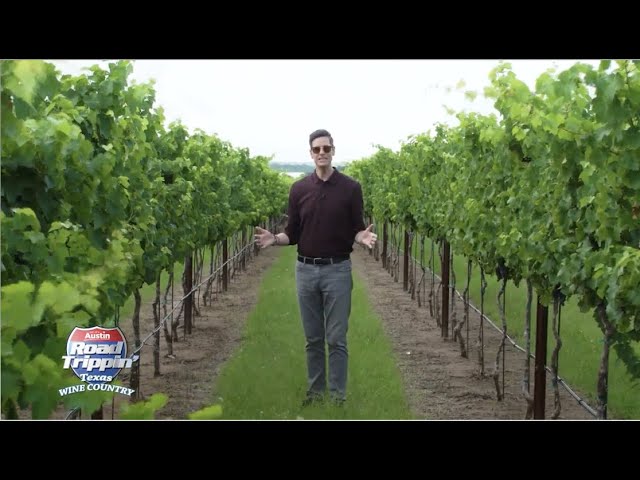 Road Trippin' Texas Wine Country! (FULL SHOW)