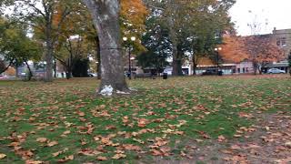 Gallipolis OH City park #2