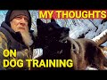 My thoughts on dog training  who should you listen to for advice