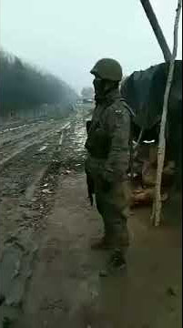 Polish Border - Good morning my neighbors