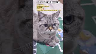 World Cup 2026: First Round Prediction Results! ⚽ #shorts #fifa #worldcup #cat #worldcup2026