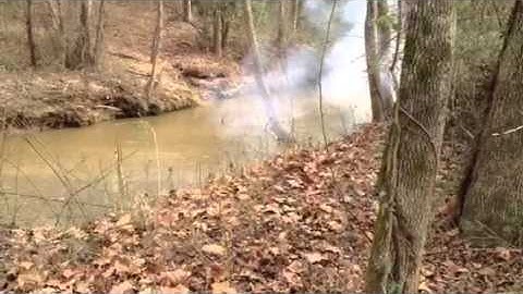 1 lb of sure shot exploding targets