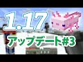 【Minecraft1.17】かわいすぎる新モブ 新ブロック続々登場！#3