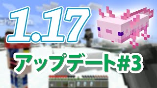 【Minecraft1.17】かわいすぎる新モブ 新ブロック続々登場#3