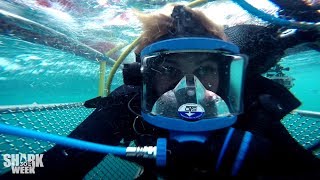 Ie Chivells Best Moments The Faces Of Shark Week