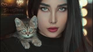 Amir Nazari - End Of Night