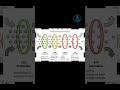 ⚡The amazing journey of cellular respiration in just 3 steps!Glycolysis → Krebs Cycle → ETS #Biology