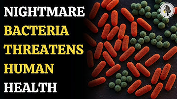 Nightmare Bacteria Rising: The Deadly Superbug Threat Explained | WION Podcast