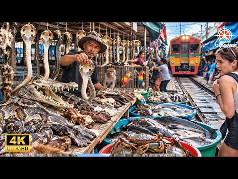 World’s Most Dangerous Markets Where People Still Trade at Their Own Risk | 4K Travel Documentary