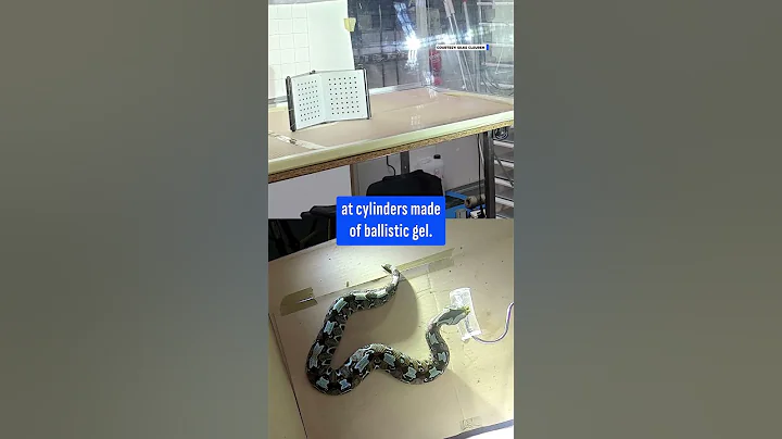 FIRST TIME EVER: High Speed Camera Captures Venomous Snake Bites