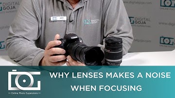 CAMERA LENS NOISE  TUTORIAL | Why Does My Camera Lens Make a Noise When Focusing?
