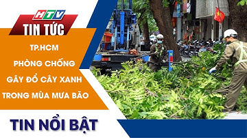 TP.HCM PHÒNG CHỐNG GÂY ĐỔ CÂY XANH TRONG MÙA MƯA BÃO | HTV Tin Tức