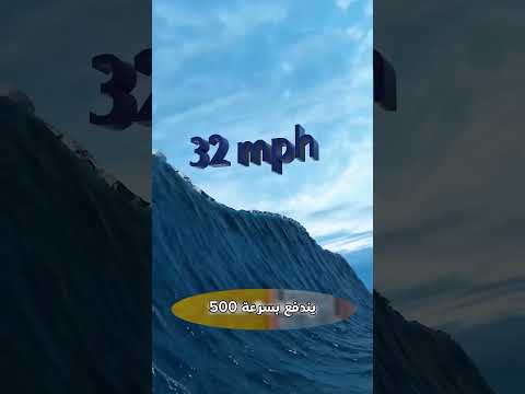 هل تقدر توقف التسونامي بإسفنجة ضخمة 