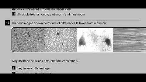 Ap 8th Class Fa-1💯V.imp Science🥳Question Paper 2024-25 | 8th Class fa1 ( CBA_1)  P.S & N.S Paper