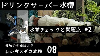 【アクアリウム】水換え簡単！ドリンクサーバーでメダカ稚魚飼育 #2 【初心者メダカ水槽08】