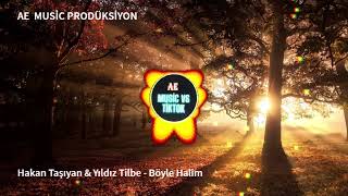 Yıldız Tilbe - Hakan Taşıyan - Böyle Halim [AE MUSİC]