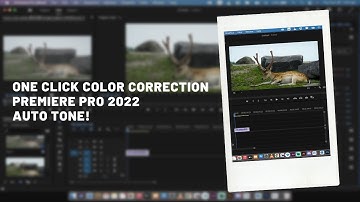Premiere Pro 2022 - One Click Color Correction - Auto Tone