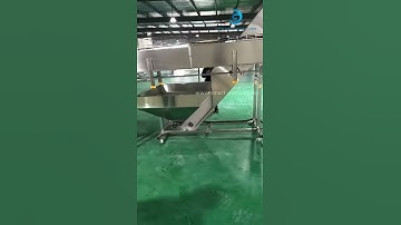 PET bottle unsrambling sorting machine bottle organizing feeding tank with air blow feeder conveyor
