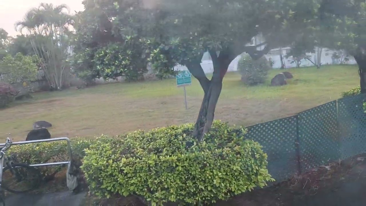 TS681 NR92錦綉荃灣 SY1237 NR93A錦綉西鐵元朗 SW9424 NR936錦綉紅磡