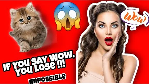 If You Say Wow, You Lose V#2 |😱 Impossible 😱| Smart Cat | Funny Cute Cats Tik Tok | Cats Fan