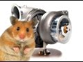 Hamster turbo teaser trailer    hybrid turbos