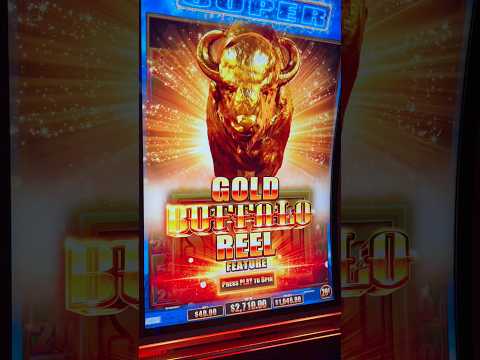 The Super Bonus YOU WILL NOT BELIEVE! #gambling #casino #money #comedy #slots