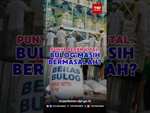 Punya Peran Vital, Bulog Masih Bermasalah?