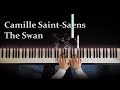 Saintsans the swanthe carnival of the animals  j piano