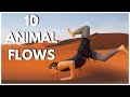 10 Awesome Animal Movement Exercises You Can Use In Training | timlowpt
