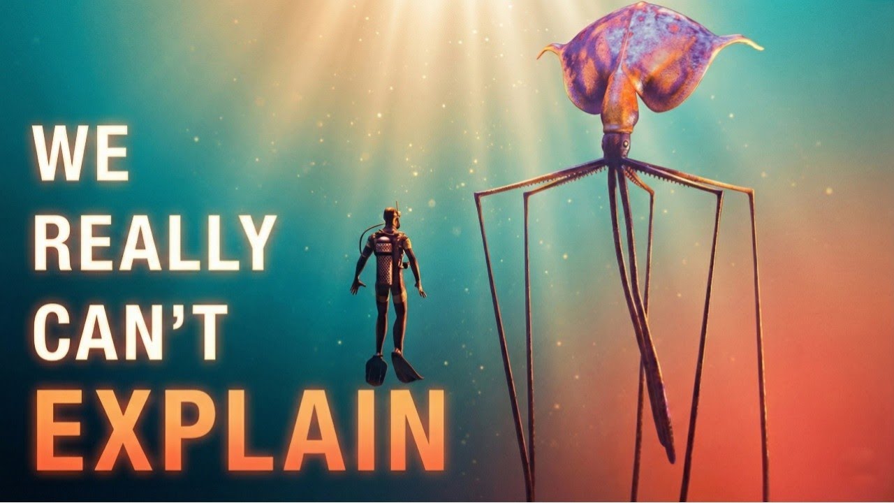 Why Deep Sea Creatures Get Creepier The Deeper You Go