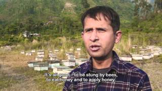 Bee Keeping in Nepal