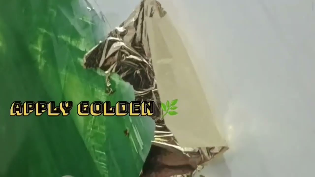 Stucco paints marble design 👈💞💞 